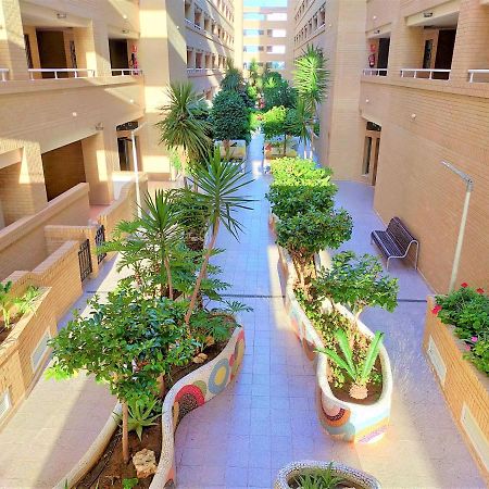 Acv - Neptuno-2ª Linea Planta 6 Norte 奥罗佩萨德尔马 外观 照片